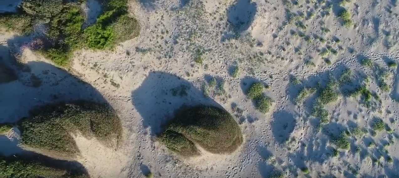 Le dune di Capocotta viste dal drone